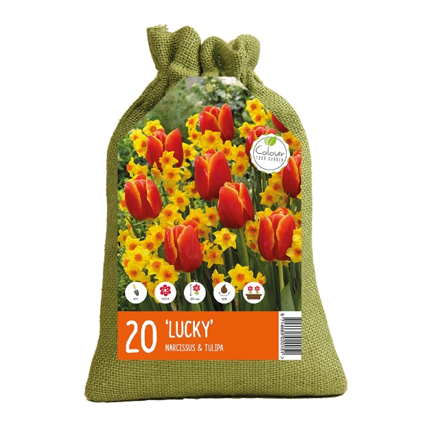 Image de JUTE LUCKY cal :I