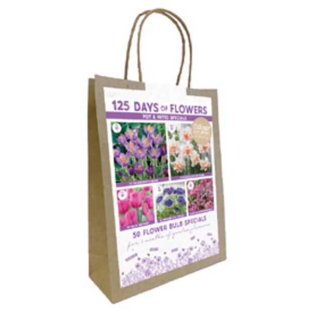 Image de SACHETS BALCONY PINK cal :I
