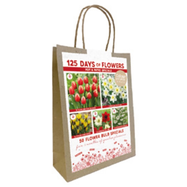 Image de SACHETS BALCONY RED cal :I
