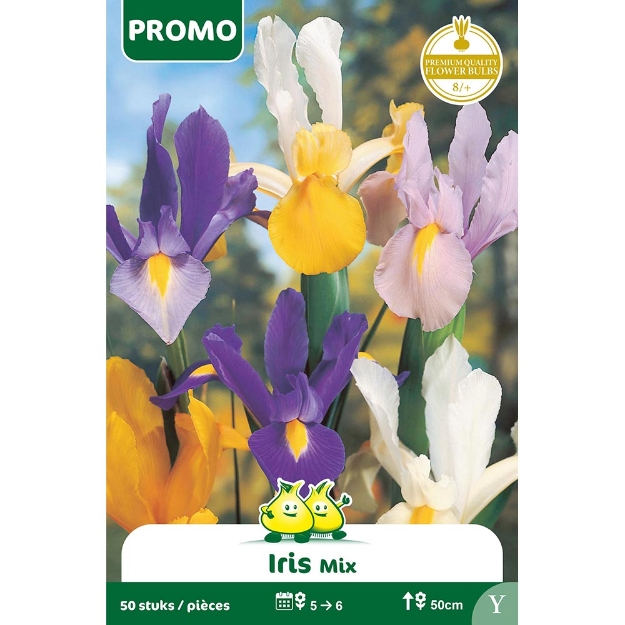 Image de Paquet IRIS  MIX 50 P.   Y cal :8/+
