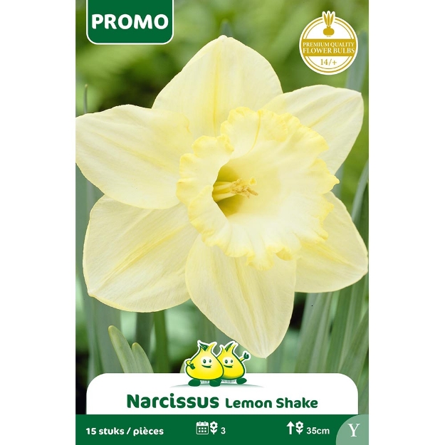 Image de Paquet TROMPET NARCIS  LEMON SHAKE 15p. cal :14/+
