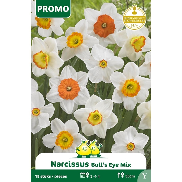 Image de Paquet TROMPET NARCIS BULLS EYE MIX 15p. cal :14/+