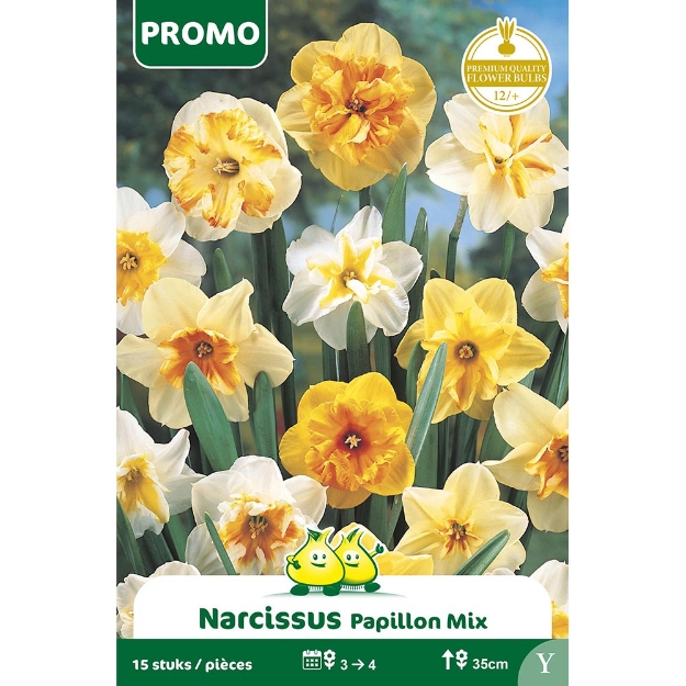 Image de Paquet NARCIS PAPILON MIX 15 ST cal :12/+