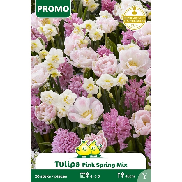 Image de Paquet 15 ST PINK SPRING MIX Y cal :12/+