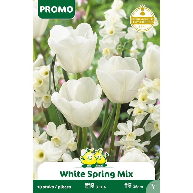 Image de Paquet 18 ST WHITE SPRING MIX Y cal :12/+