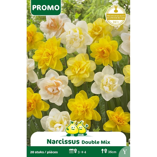 Image de Paquet NARCIS 20 P DOUBLE  MIX Y cal :12/+