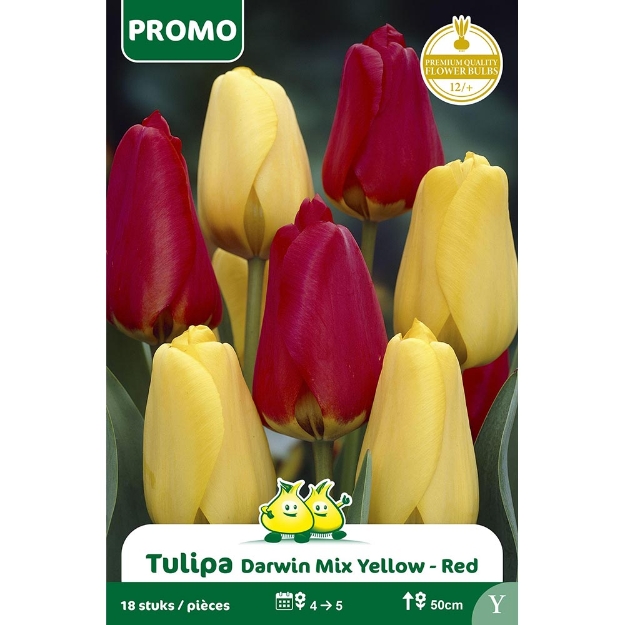 Image de Paquet TULIPE DARWIN MIX 18 ST  Y cal :12/+