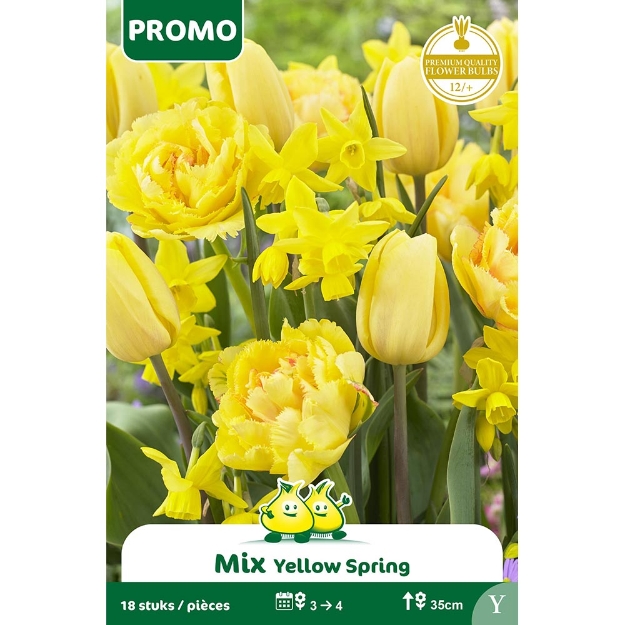 Image de Paquet YELLOW SPRING MIX 18 ST Y cal :12/+