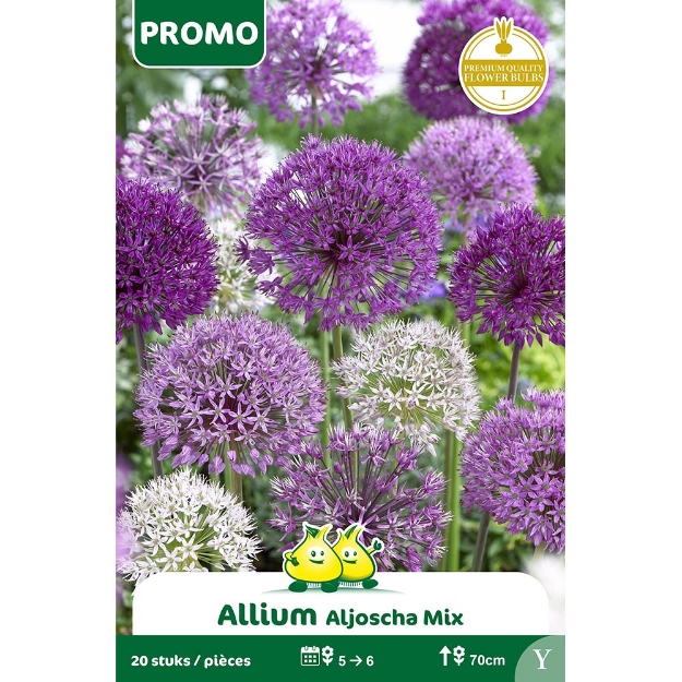 Image de ZAKJE ALLIUM MIX 20 ST Y cal :I