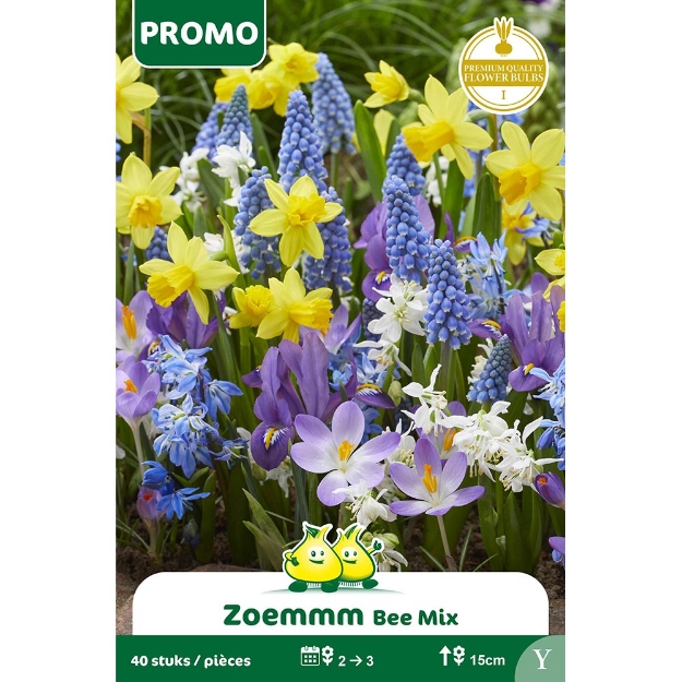 Image de Paquet MIX ABEILLE ZOEMMM 40 P. Y cal :I