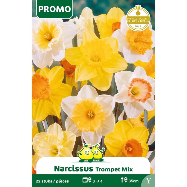 Image de Paquet NARCIS 22 ST MIX Y cal :14/+