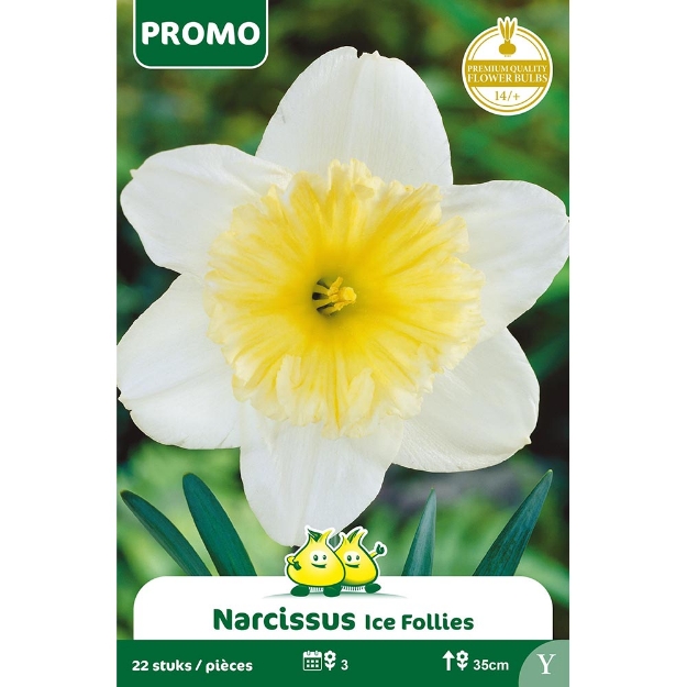 Image de Paquet NARCIS ICE FOLLIES 22 ST Y cal :14/+