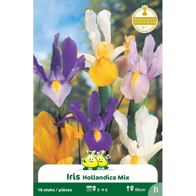 Image de Paquet IRIS  GEMENGD B cal :8/+