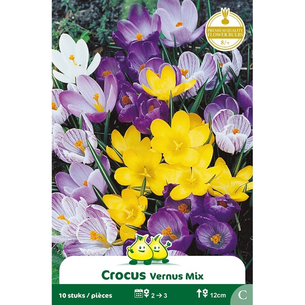 Image de Paquet CROCUS  GEMENGD  cal :8/+