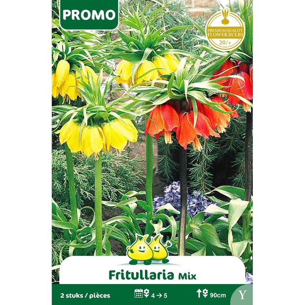 Image de Paquet FRITULLARIA MIX 2 ST Y cal :20/+