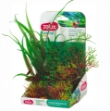 Image de PLANTKIT SMALL N 3