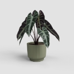 Image de POT MIAMI WAVY 20 MA VERT CENDRÉ