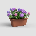 Image de JARDINIÈRE VENEZIA XL 60CM terre