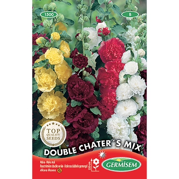 Image de Graines d'alcea rosea (rose trémière) double varié