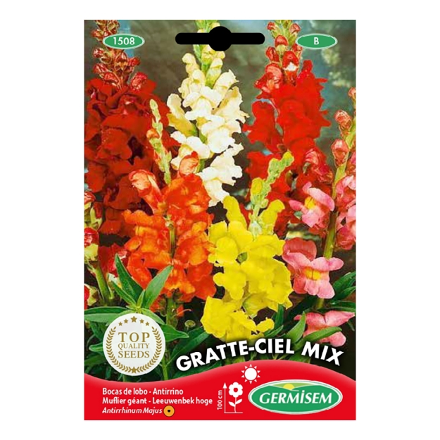 Image de Graines d'antirrhinum (muflier) gratte-ciel géant varié