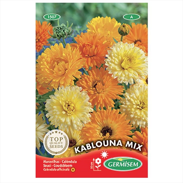 Image de Graines de calendula (souci) kablouna varié