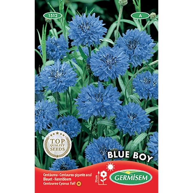 Image de Graines de centaurée (bleuet) blue boy