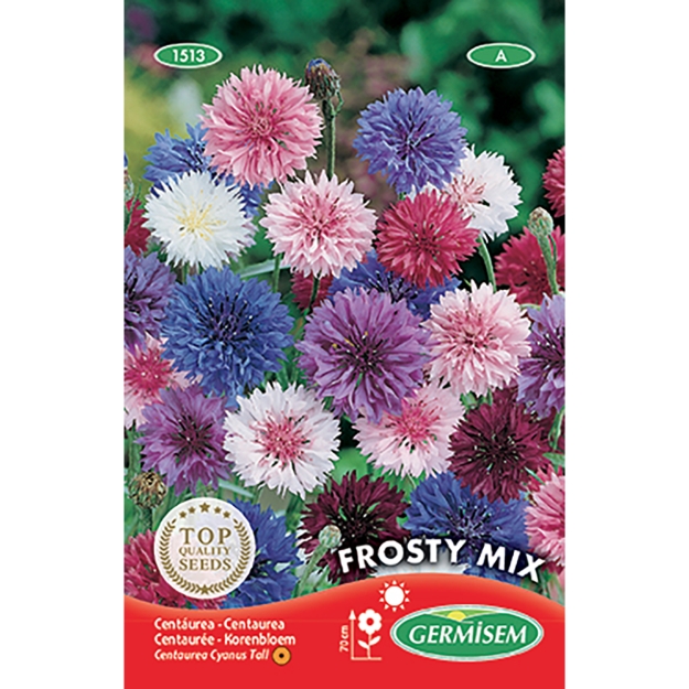 Image de Graines de centaurée (bleuet) frosty varié