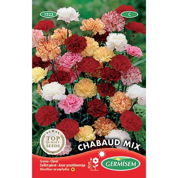 Image de Graines de dianthus (œillet) géant chabaud varié