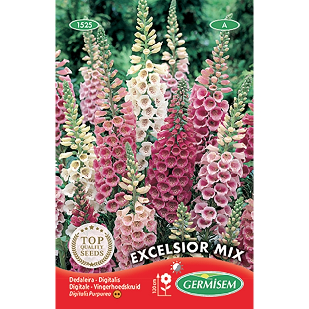 Image de Graines de digitale purpurea excelsior variée