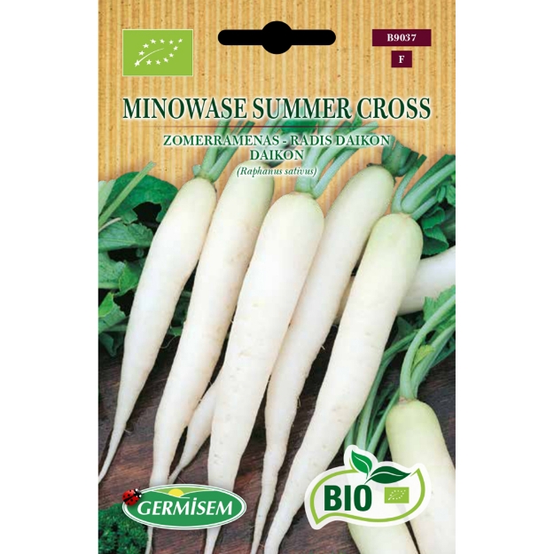 Image de Graines bio de Radis Minowase Summer Cross
