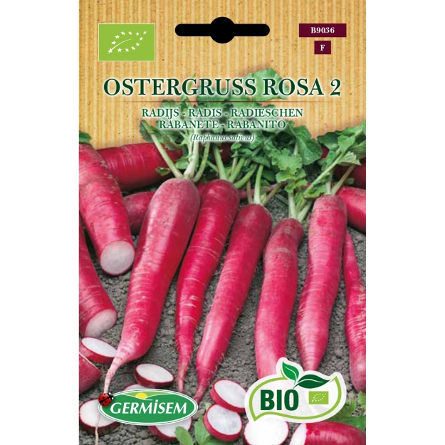 Image de Graines bio de Radis Ostergruss Rosa 2