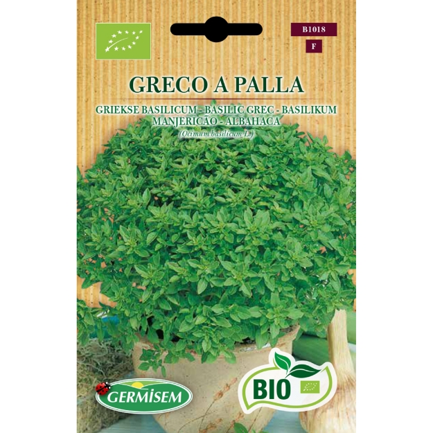 Image de Graines bio de Basilic Grec