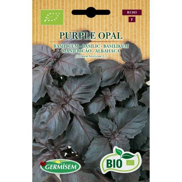 Image de Graines bio de Basilic rouge Purple Opal