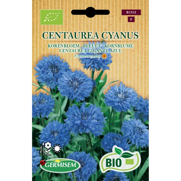 Image de Graines bio de Centaurea Cyanus Blue Boy