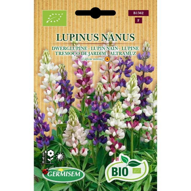 Image de Graines bio de Lupin nain varié