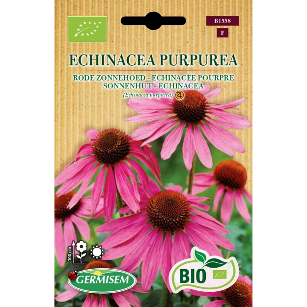 Image de Graines bio de Rudbeckia pourpre