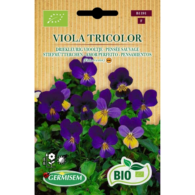 Image de Graines bio de Viola (pensée sauvage) Tricolor