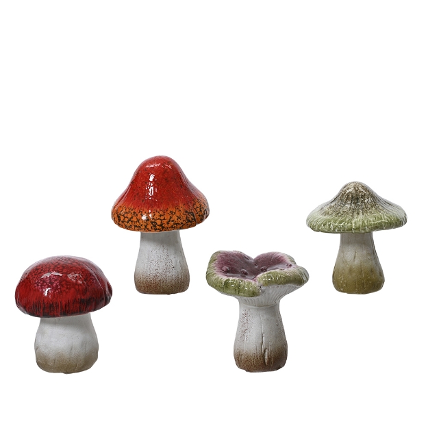 Image de Champignon terre cuite