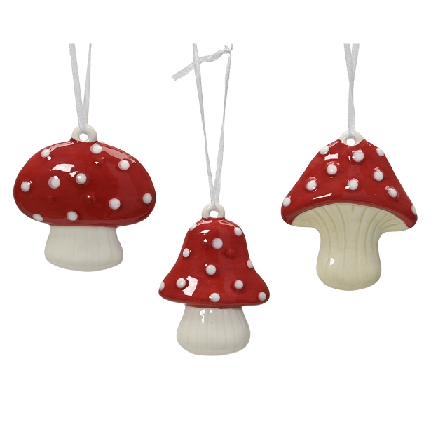 Image de Champignon dolomite peinture et glacis