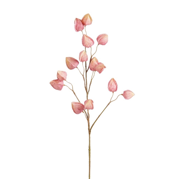 Image de Chinois lanterne rose cl. - Mica