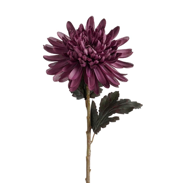 Image de Chrysantheme artificiel violet - Mica