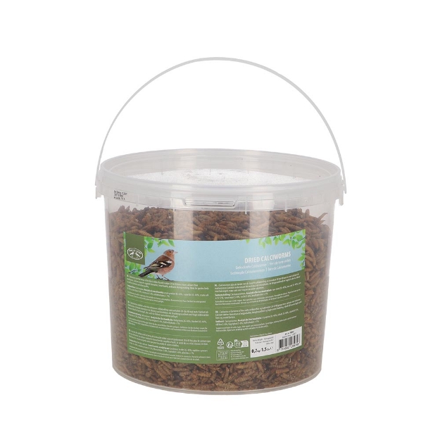 Image de Vers de calcium séché 0.7kg en seau