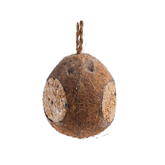 Image de Noix de coco 350g