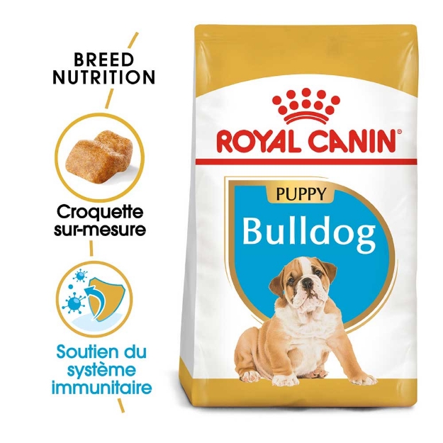 Image de BHN English Bulldog Puppy 3kg