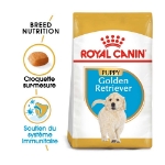 Image de BHN Golden Retr. Puppy 12kg