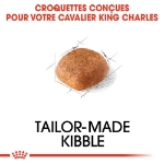 Image de BHN Cavalier KC Adult 7,5kg