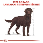 Image de BHN Labrador Sterilis. Ad 12kg