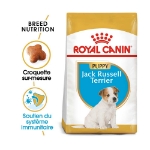 Image de BHN Jack Russell Puppy 3kg