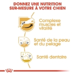 Image de BHN Jack Russell Adult 3kg
