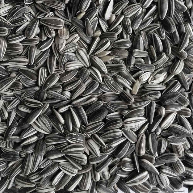 Image de GRAINES DE TOURNESOL STRIE 15 KG